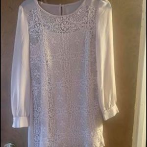 Sheer long sleeve lace dress with slip